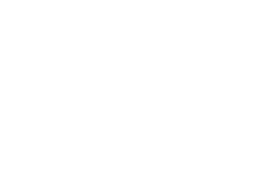 Artis Consilium