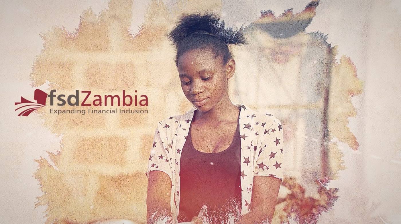 FSD Zambia documentary still